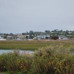 PokerRun_0017 (September 17, 2011)